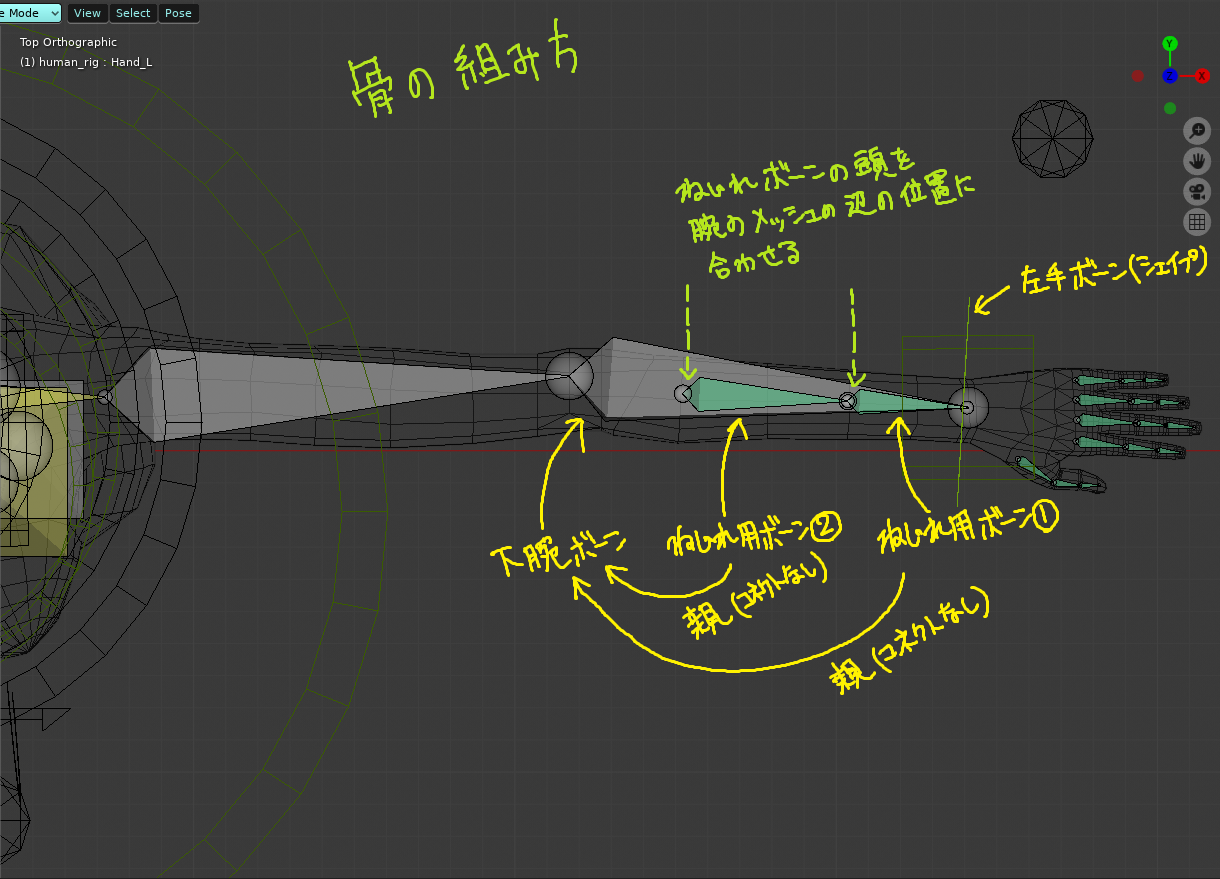 Blender2 8で肩 肘 腕の曲げとねじれを表現するボーン設定とウェイトペイントのコツ Soramame式