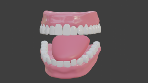 Blenderで歯のモデルを配布